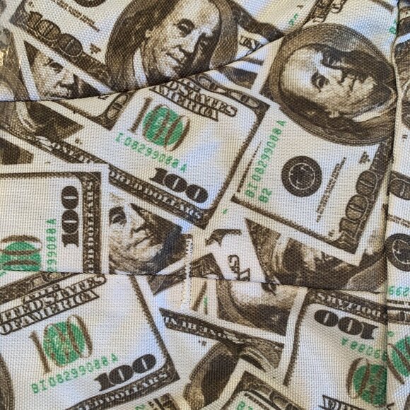 One Hundred Dollar Bill - Money Print Theme - Benjamin - Backpack- NWT - Picture 3 of 6